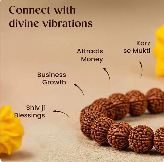 7 Mukhi Rudraksha Bracelet for Men – Natural Beads | Wealth & Prosperity